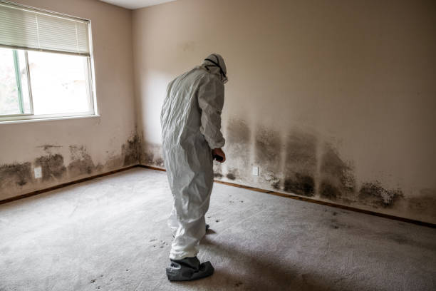 Crawl Space Mold Removal in Mcgregor, TX